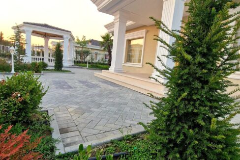 WhatsApp Image 2025-01-13 at 11.16.52