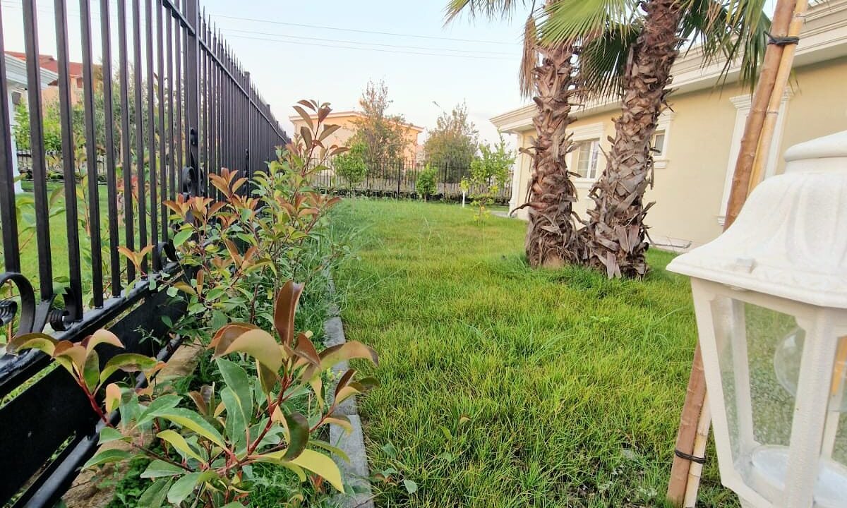 WhatsApp Image 2025-01-13 at 11.16.54