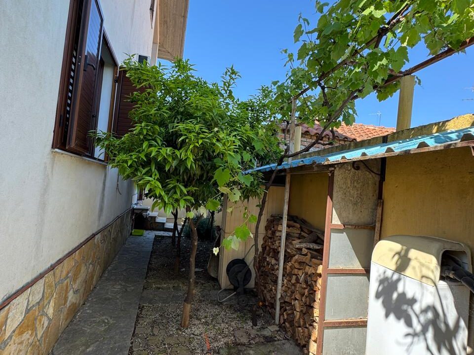 WhatsApp Image 2026-04-01 at 10.08.16 (1)