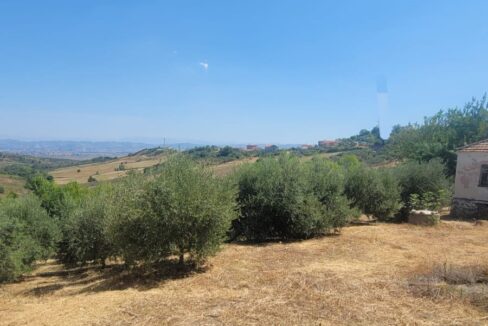 IMG-20260812-WA0084