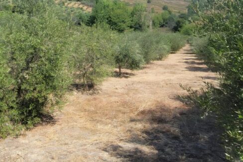 IMG-20260812-WA0099