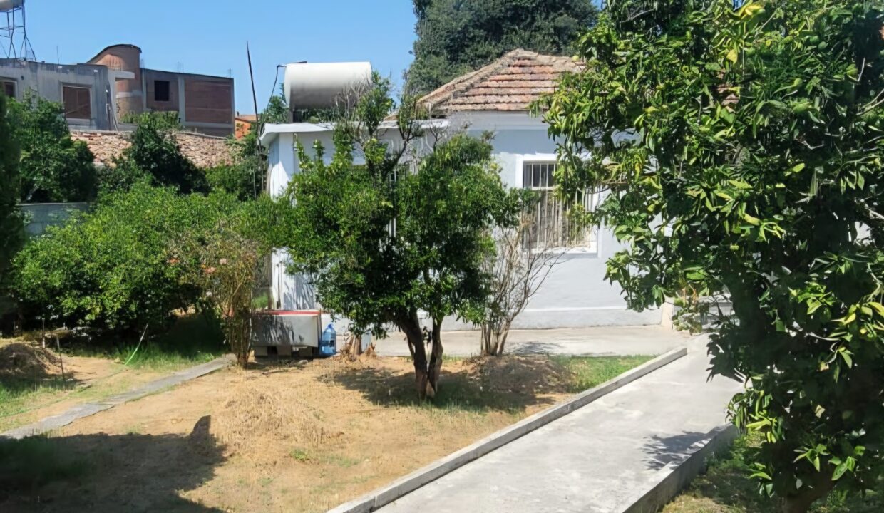 IMG-20260819-WA0105